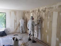 Best Real Estate Mold Inspection  in Hawaiian Gardens, CA